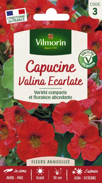 Fleurs - Capucine Valina Écarlate - PACKAGING_RECTO
